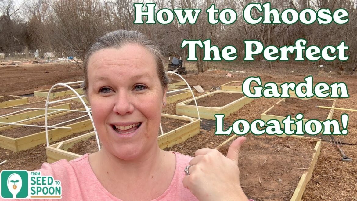 Choosing the Perfect Location for Your Garden: Tips & Advice Choosing the Perfect Location for Your Garden: Tips & Advice