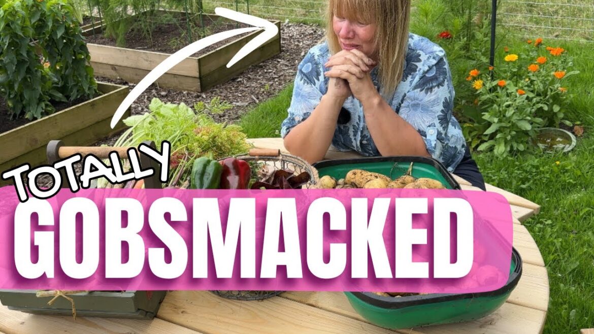 Massive Vegetable Garden Harvest | July Abundance