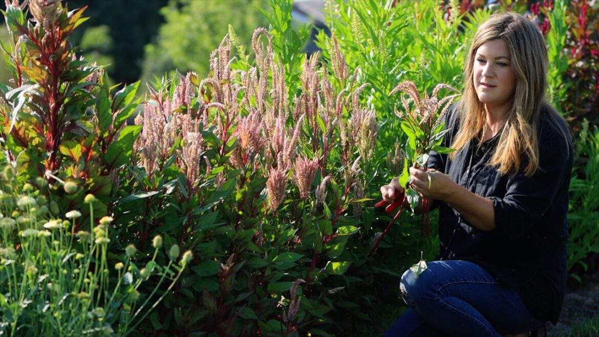 Making Woodland Berry Scones & a Flower Arrangement for a Tea Party in the Hartley! 🥰☕️💐