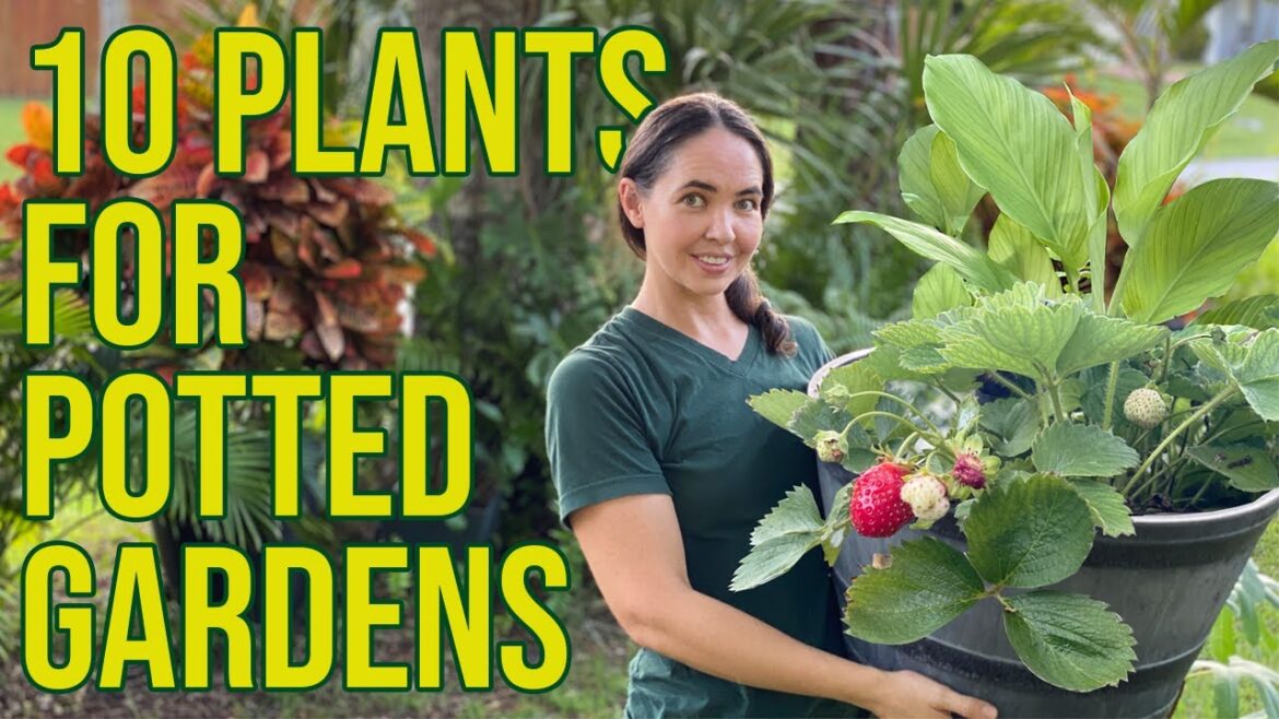 10 Heat Tolerant Edible Plants For Container Gardens In Florida