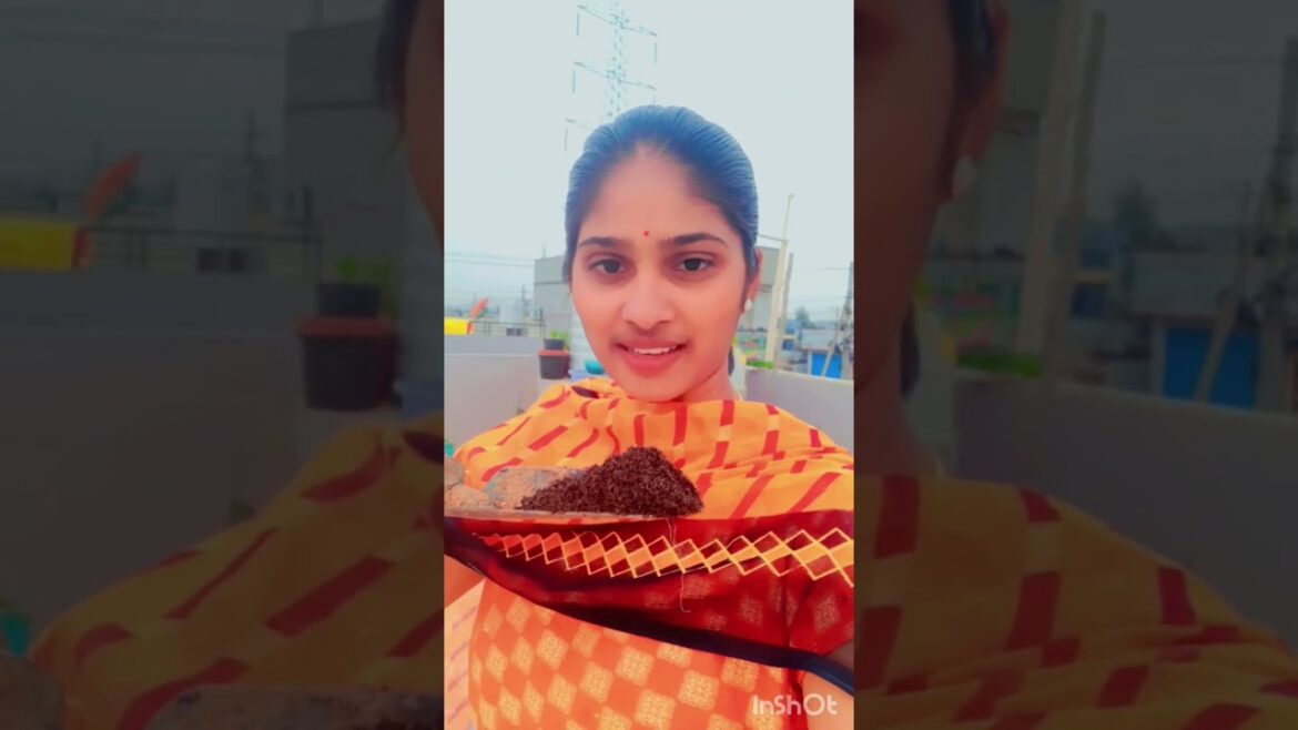 Its time to work in the garden😊 #gardener #farming #trending #viral #youtube #minivlog #tips