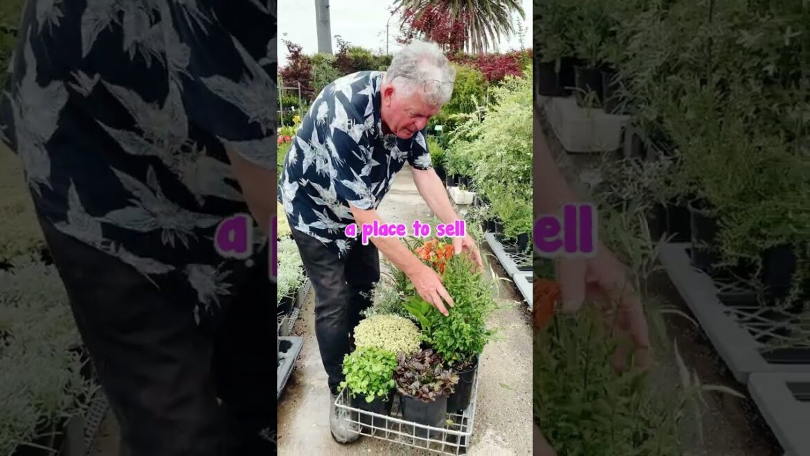 Every Plant in this Video is ONLY $10.99 Each