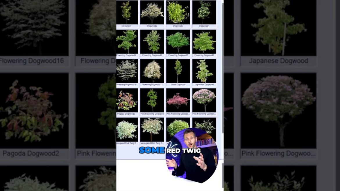 Transform Your Yard with COLOR Transform Your Yard with COLOR