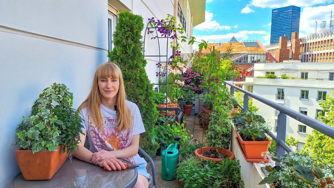 Late Spring Container Garden Maintenance – Repotting, Trimming & Fertilizing Late Spring Container Garden Maintenance - Repotting, Trimming & Fertilizing