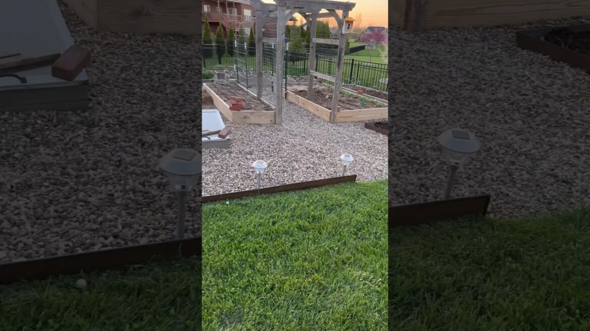 Full Day of Garden Chores #gardening #gardenlife