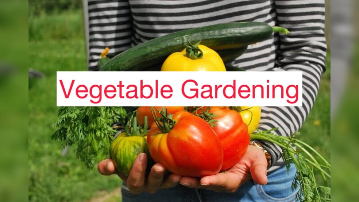 Master Vegetable Gardening: From Planting To Harvest! Master Vegetable Gardening: From Planting To Harvest!
