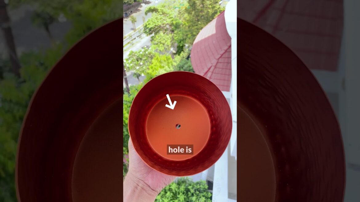 𝘼𝙧𝙚 𝙏𝙝𝙚𝙨𝙚 𝙋𝙡𝙖𝙣𝙩𝙚𝙧𝙨 𝙖𝙧𝙚 𝘿𝙪𝙧𝙖𝙗𝙡𝙚 𝙤𝙧 𝙉𝙤𝙩? 😱 by Home BAEsic #homeandgarden #planters #garden