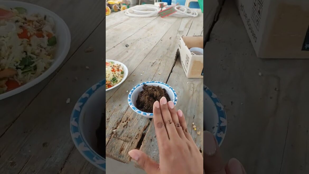 Mera ghr hay zero waste home .. #containergardening #organicfarming