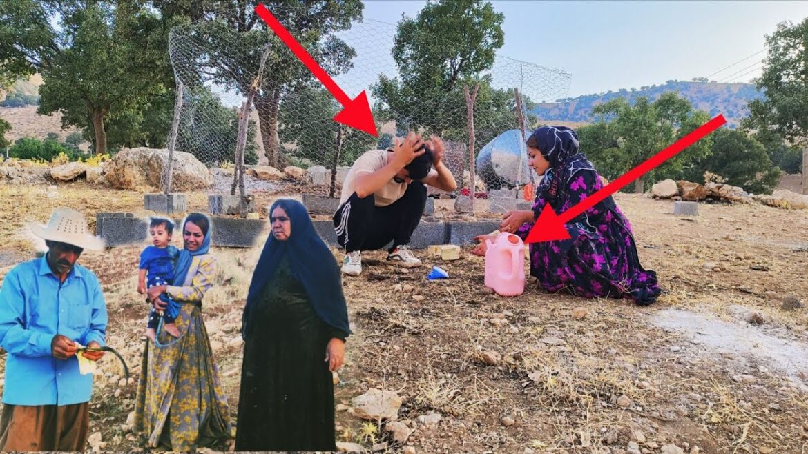 Engineer Omid in the market: provision of mountain supplies and fences for the garden🛍 Engineer Omid in the market: provision of mountain supplies and fences for the garden🛍