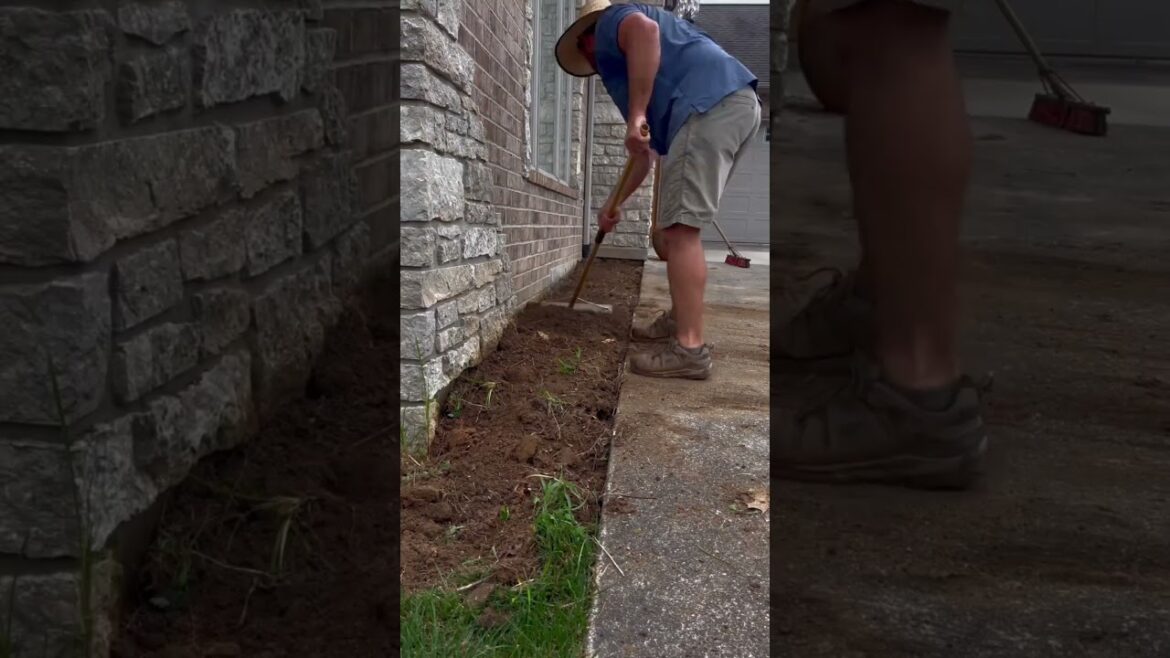 Creating a Flower-Filled Garden for a More Colorful Life FlowerGarden #GardeningTips #yardcleanup Creating a Flower-Filled Garden for a More Colorful Life FlowerGarden #GardeningTips #yardcleanup