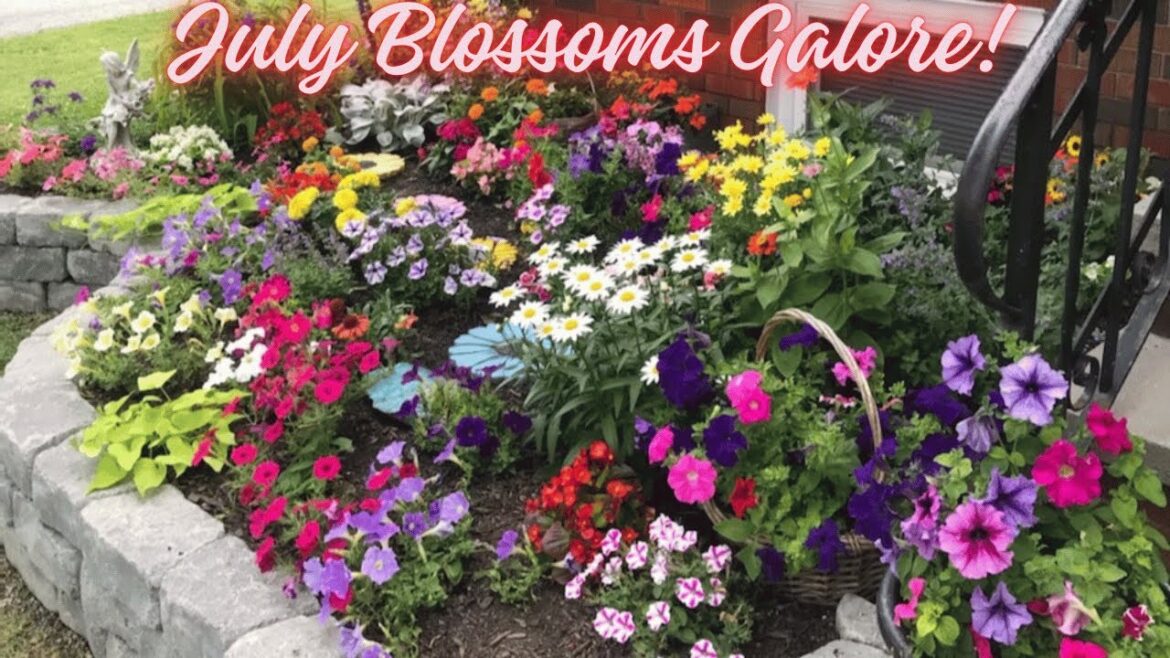 FRONT YARD GARDEN TOUR JULY BLOSSOMS GALORE | FULL GARDEN TOUR FRONT YARD GARDEN TOUR JULY BLOSSOMS GALORE | FULL GARDEN TOUR