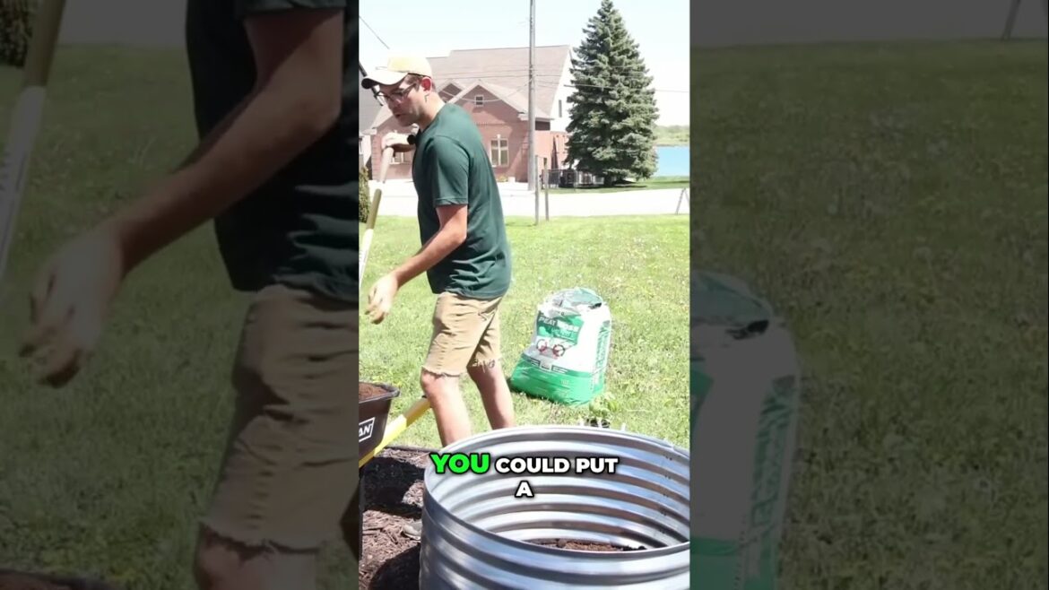 Planting Ideas for Small Gardens  #garden #gardening #shorts  #growingvegetables