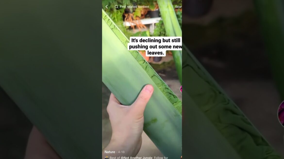 This is going to take a while #humor #containergardening