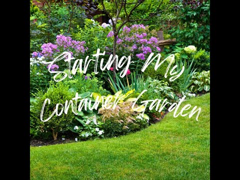 Starting My Container Garden Starting My Container Garden