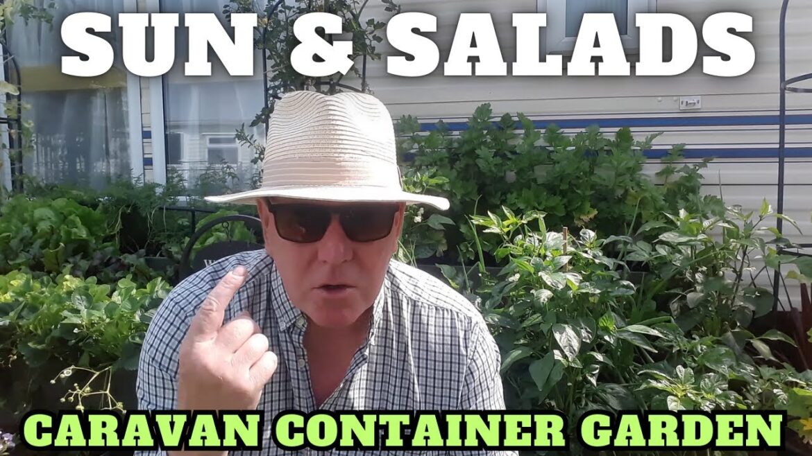 Sun & Salads [Container Gardening ]