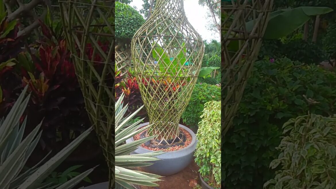 front yard landscaping idea's#https://youtube.com/@jankimohod?si=EEgwabNTrb6FmENJ