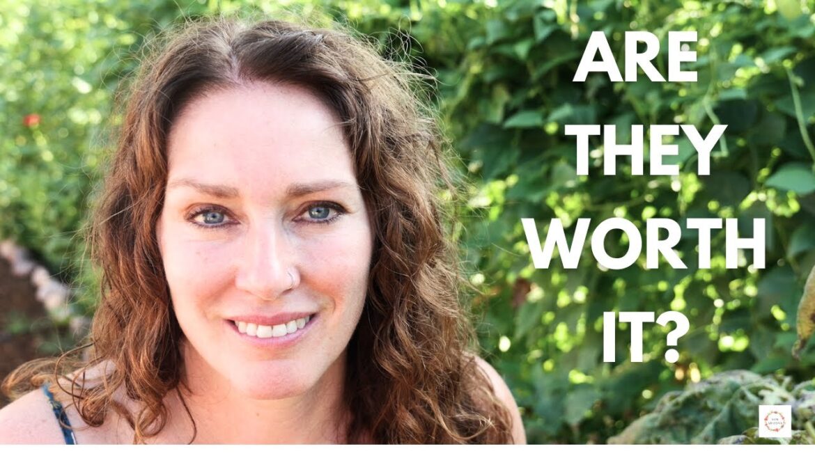 Turn Your Garden into a Edible Paradise with Cowpeas Turn Your Garden into a Edible Paradise with Cowpeas