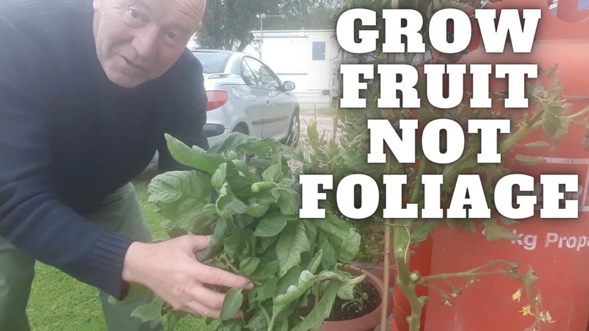 Grow Fruit Not Foliage [Container Gardening ]