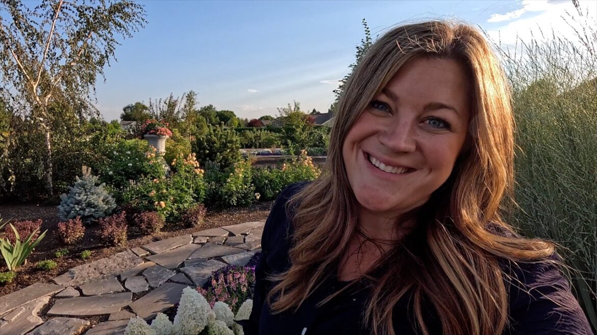 Tree Shopping with Aaron + Planting New Campanulas for 2025! 🌳🙌🌲 // Garden Answer