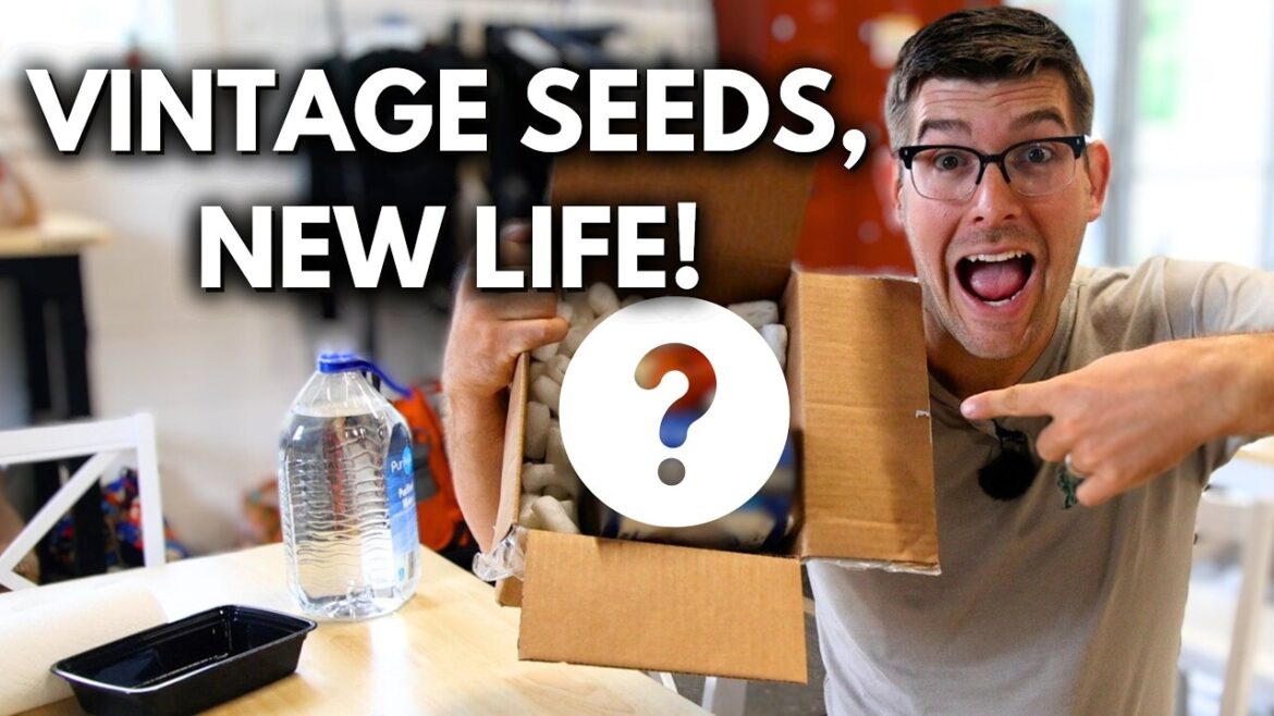 MIgardener: It’s Like a Time Capsule! SUPER COOL Old Seeds! It’s Like a Time Capsule! SUPER COOL Old Seeds!