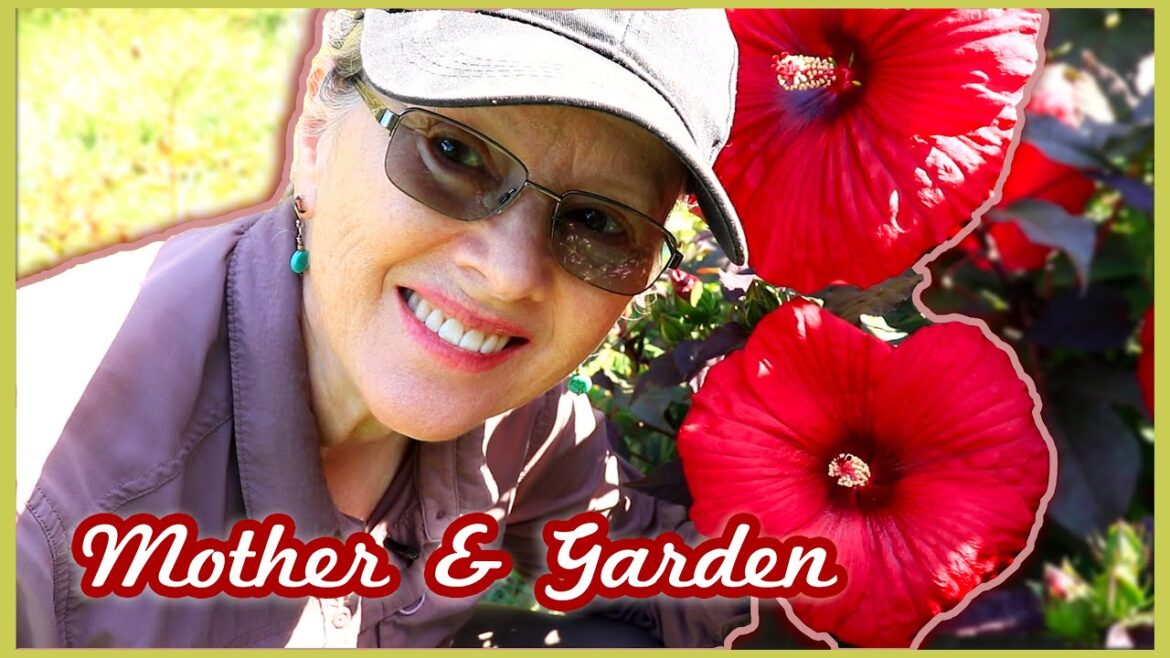 Update on Mother (and why I'm not planting a fall garden)