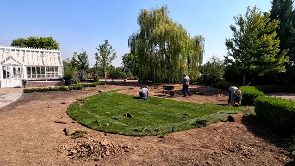 Garden Answer: Sod & Paver Pathway Installation in Front of the Hartley! 💚🙌💚 // Garden Answer Sod & Paver Pathway Installation in Front of the Hartley! 💚🙌💚 // Garden Answer