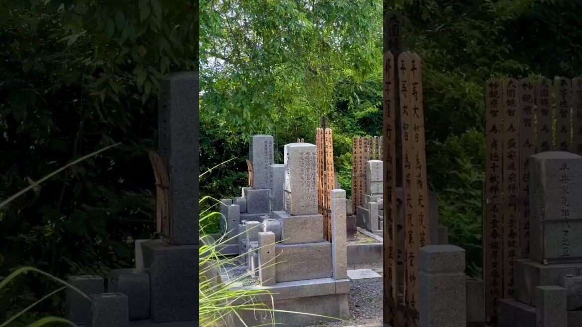 Discover the Tranquil Beauty of Koudaiji Temple in Kyoto | Tanuki Stories