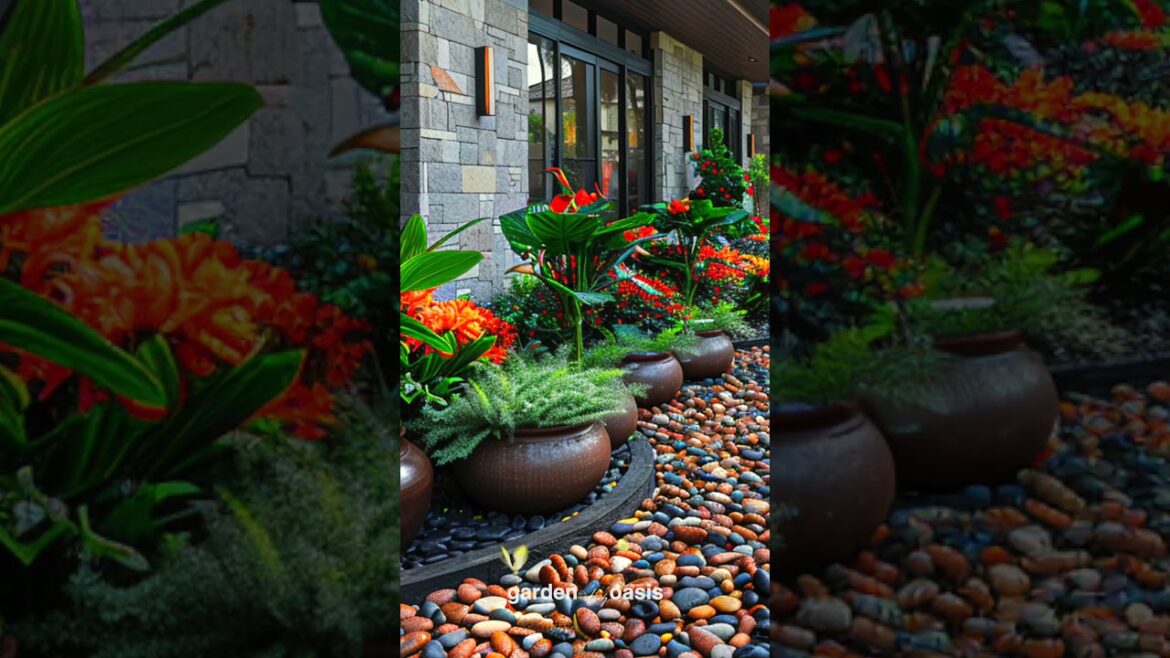 Front Yard Landscape Ideas p.75 #garden #shorts #frontyarddesign