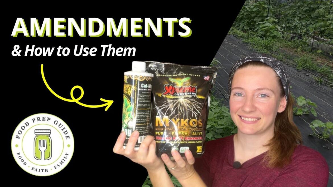 5 Must-Have Soil Amendments for the Vegetable Garden