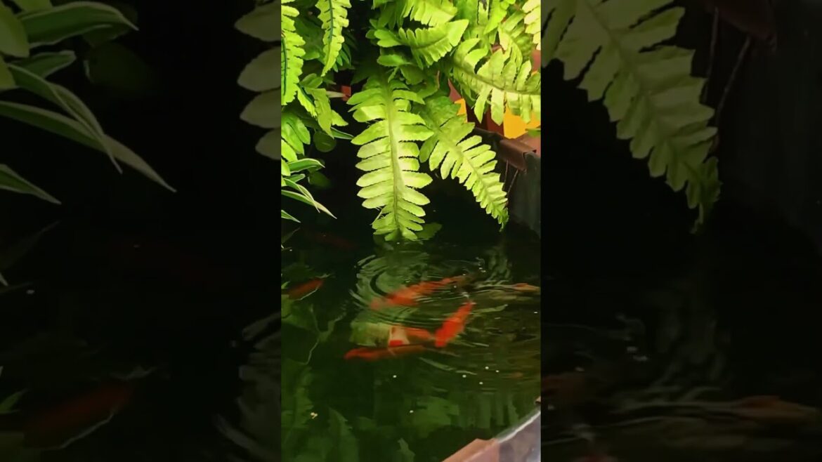 Best Terrace Garden Design Ideas 💚 #shorts #viralvideo