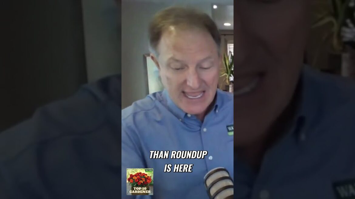 Get Rid of Weeds Easily Get Rid of Weeds Easily