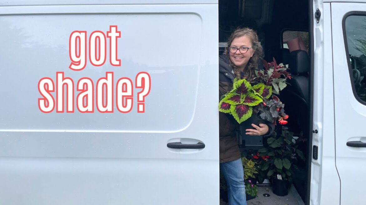 Shade Container Plants | Mini Design Session