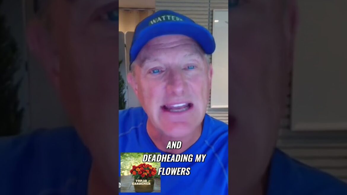 Therapeutic Gardening Therapeutic Gardening