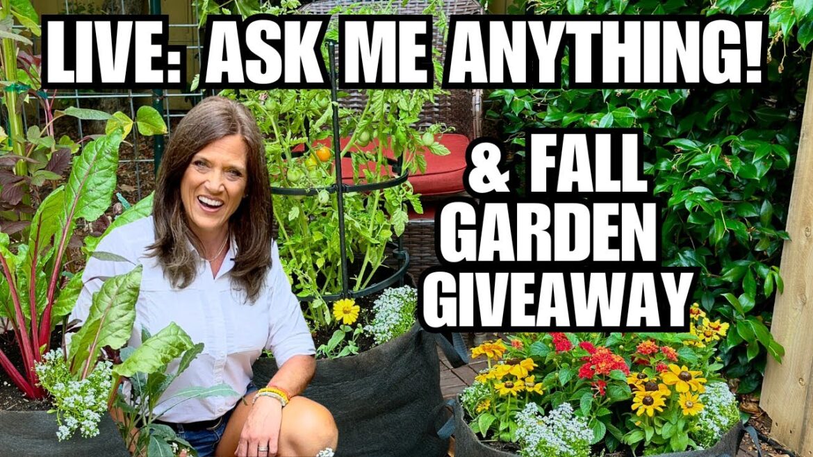 CaliKim: 🍁LIVE: Ask Me Anything & Fall Garden Giveaway! 🍁LIVE: Ask Me Anything & Fall Garden Giveaway!