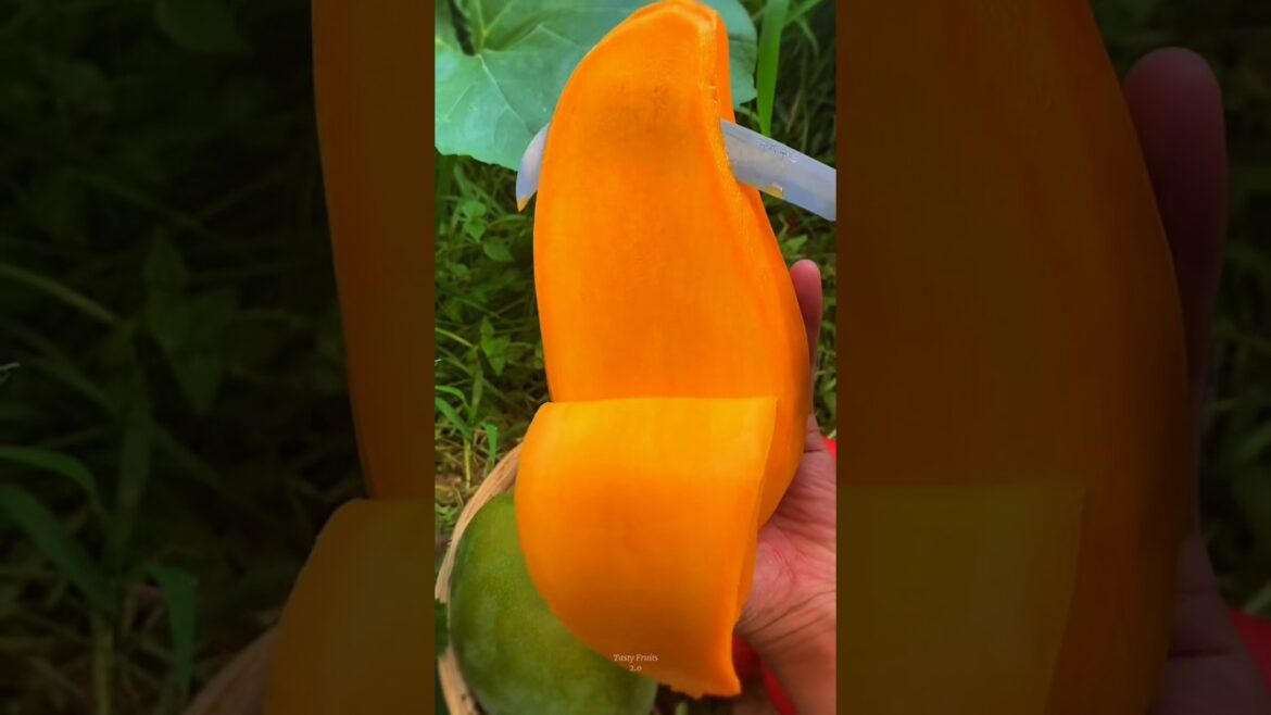 Trends and Innovations in fruit Farming 🥝🍒 #58 #shorts