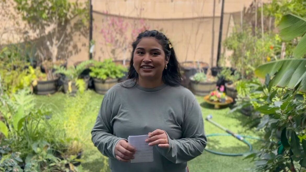 Container Gardening for Small Spaces: Proven Tips for Growing Big Healthy Plants Container Gardening for Small Spaces: Proven Tips for Growing Big Healthy Plants