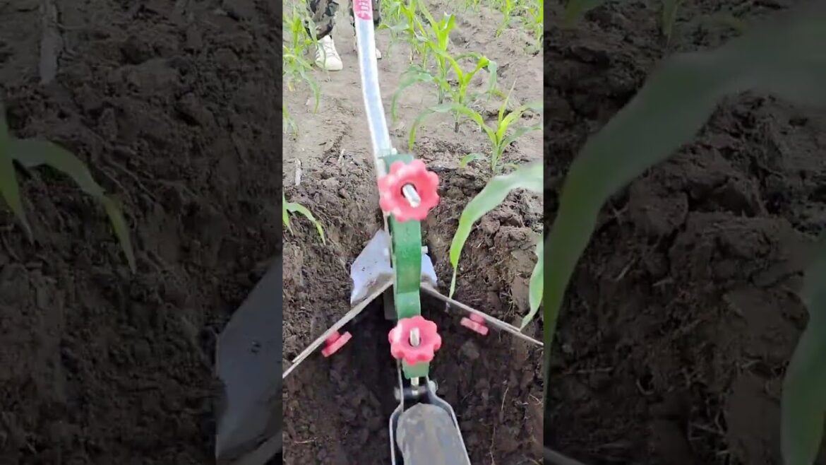 Rural Farmer of natural culture #21338