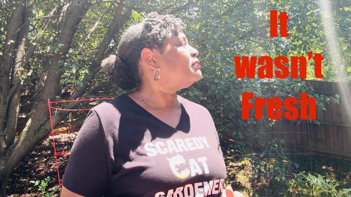 Do this if you want to start a Container Garden Do this if you want to start a Container Garden