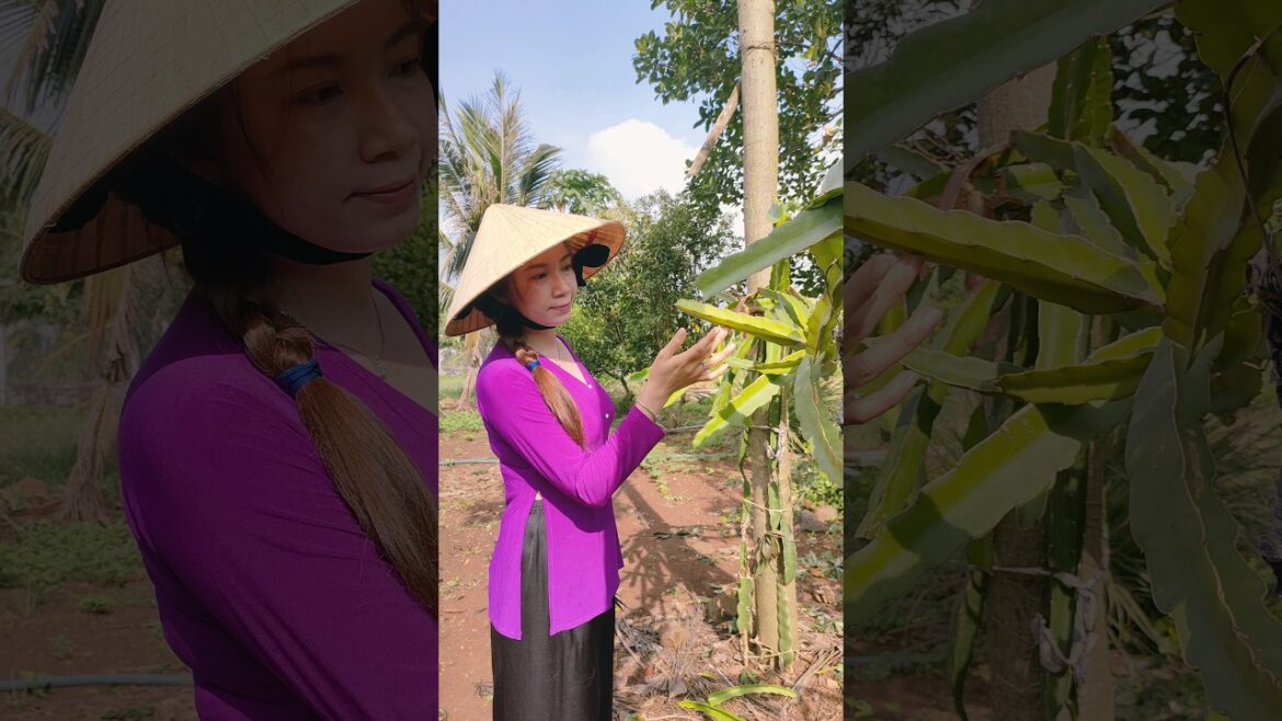 Gardening for life #farming #villagelife #villagelife