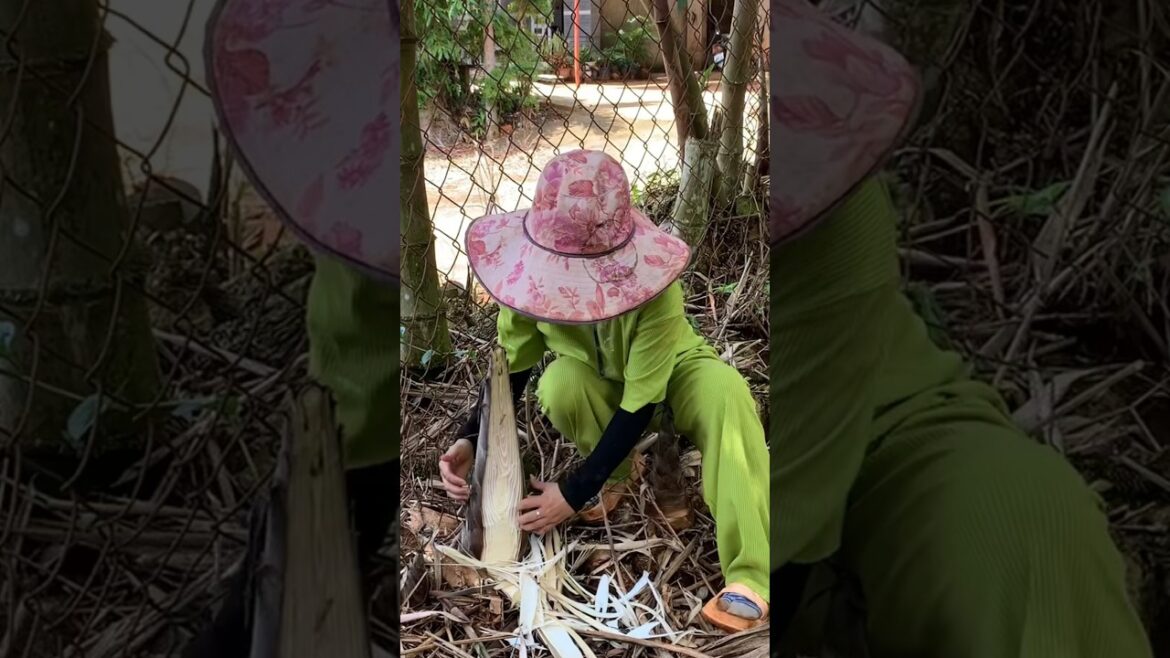 Giant Bamboo Shoot Harvest, Cooking from Scratch, Chicken Raising & Gardening Tips | Rural Life Vlog Giant Bamboo Shoot Harvest, Cooking from Scratch, Chicken Raising & Gardening Tips | Rural Life Vlog