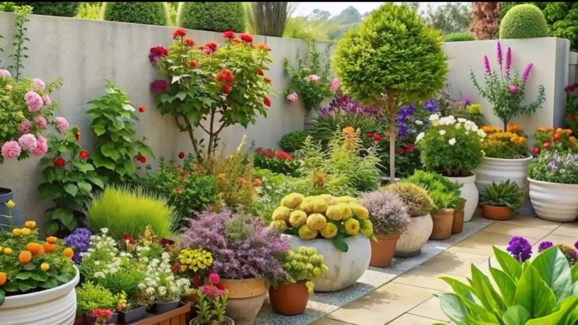 Small Garden Ideas for a Cozy Outdoor Space  – Landscaping Ideas Small Garden Ideas for a Cozy Outdoor Space  - Landscaping Ideas