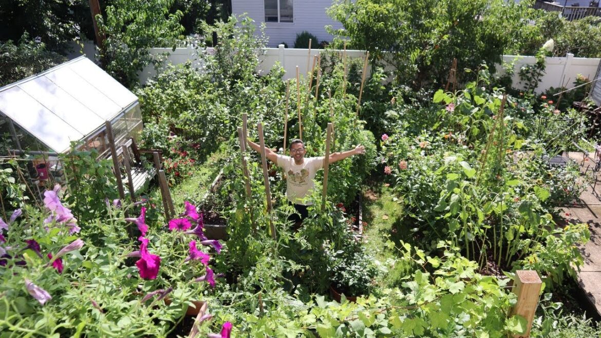 NY Backyard Garden Tour UPDATE | August 2024 SUMMER Tour | Chris’s Garden NY Backyard Garden Tour UPDATE | August 2024 SUMMER Tour | Chris's Garden
