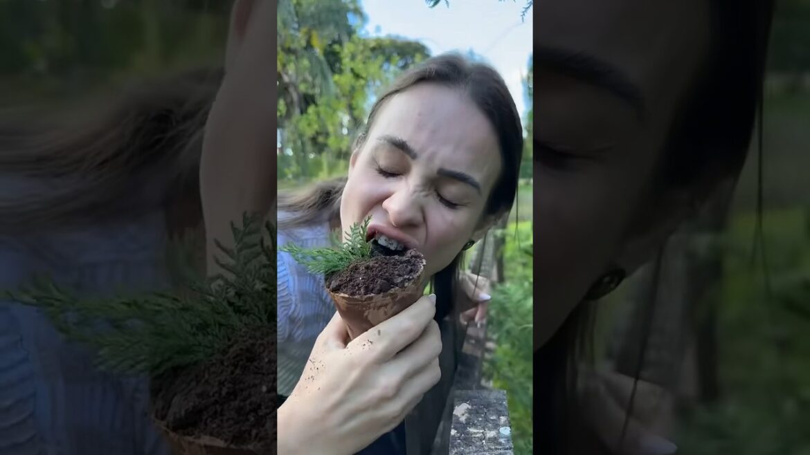 Eat Your Weeds! Discover the Delicious Edible Plants Growing in Your Garden #shorts #shortvideo