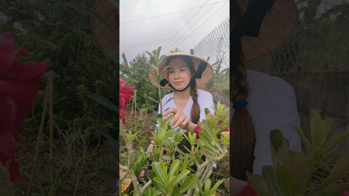 Farming & gardening life: Flower for gardening planting - Farm life #farming #gardening #farmlife