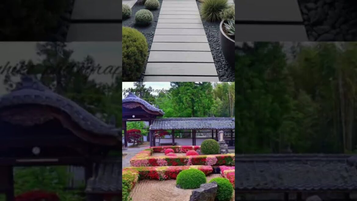 Ideas for small garden design | Small yard landscaping ideas