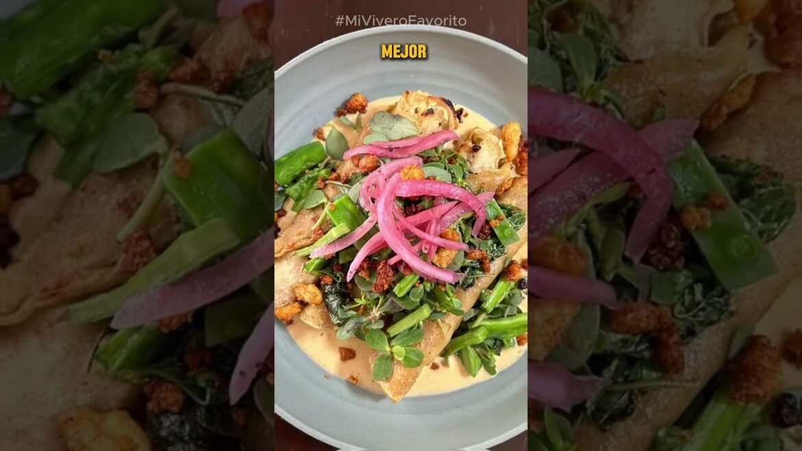 Beneficios de la Verdolaga Parte 2 - #verdolaga12345