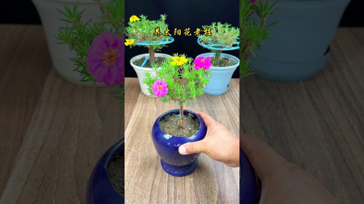 unique way to grow plants, #flowers #gardening #plants unique way to grow plants, #flowers #gardening #plants