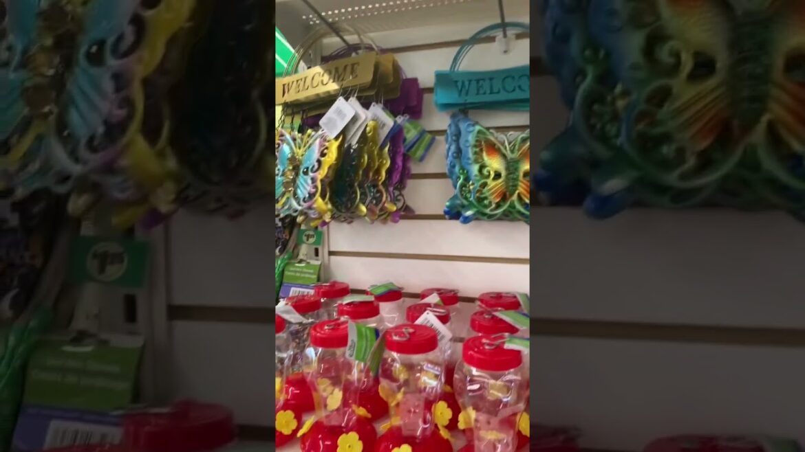 🚨Run!! Dollar Tree has started to put out spring gardening supplies. These items sell out fast.
