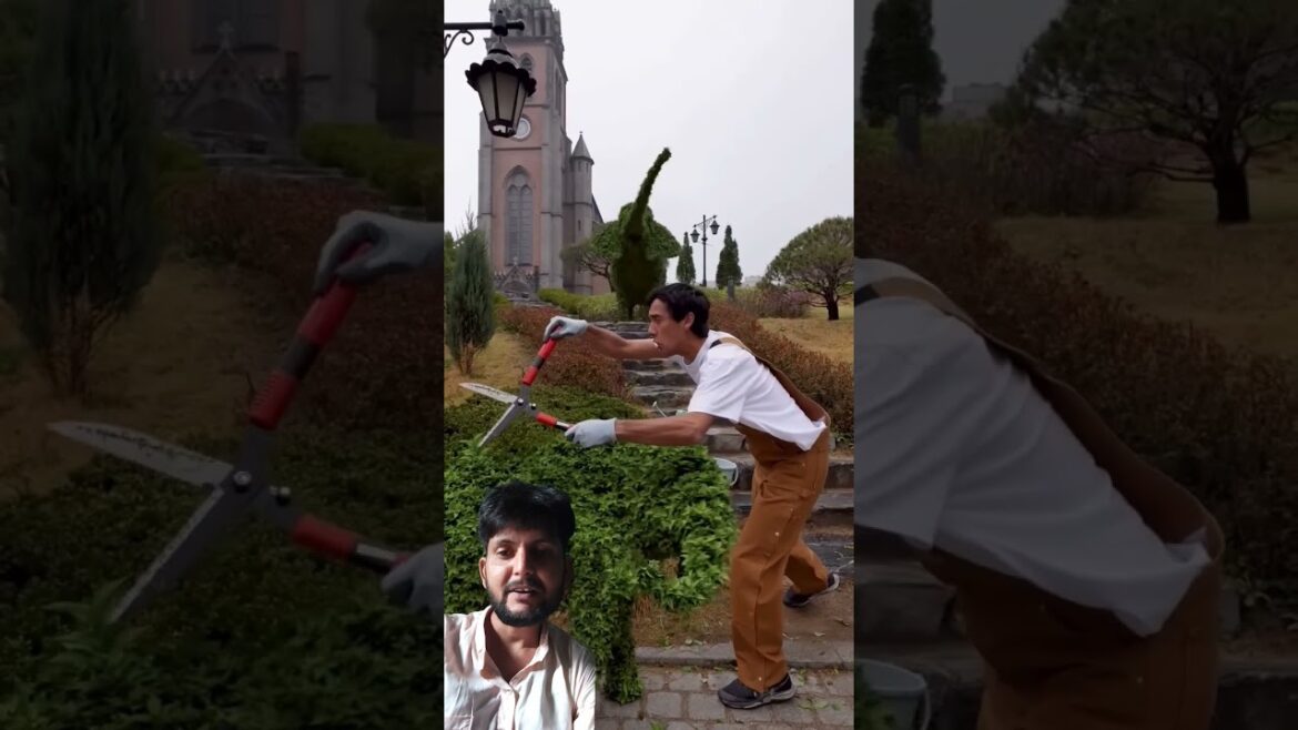 gardening gone wrong!zach king trim ground! funny shorts hindi! #shorts #magician gardening gone wrong!zach king trim ground! funny shorts hindi! #shorts #magician