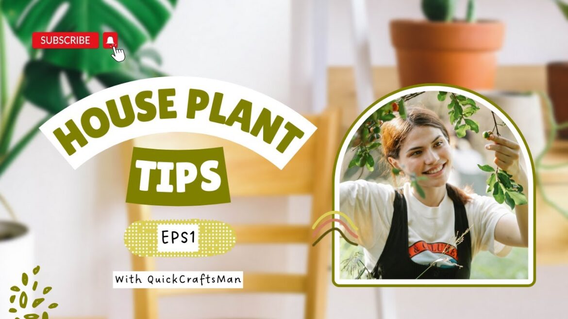 Planting Tips EVERY Gardener Should Know in 2024 Planting Tips EVERY Gardener Should Know in 2024